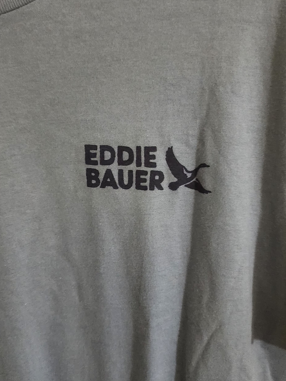 Eddie Bauer Men's Blue Logo T‑Shirt - Picture 2 of 7